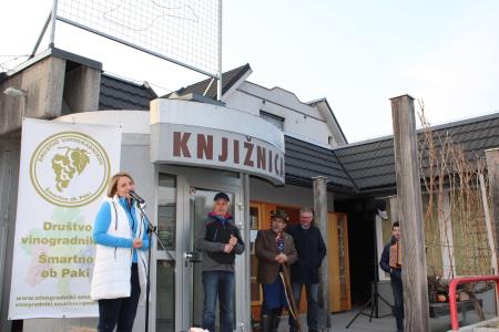 Rez potomke stare trte_4